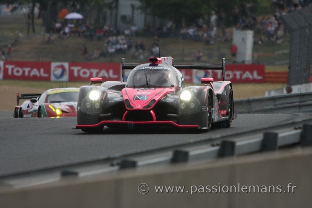 CUMMING VANTHOOR ESTRE